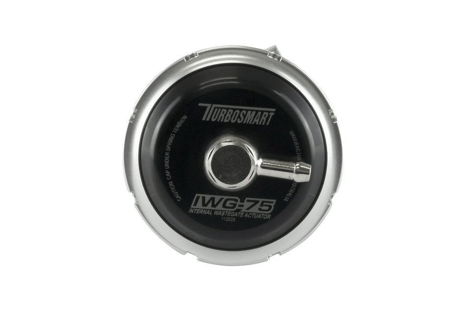 IWG75 Ford Focus ST 2.0L Ecoboost 7PSI