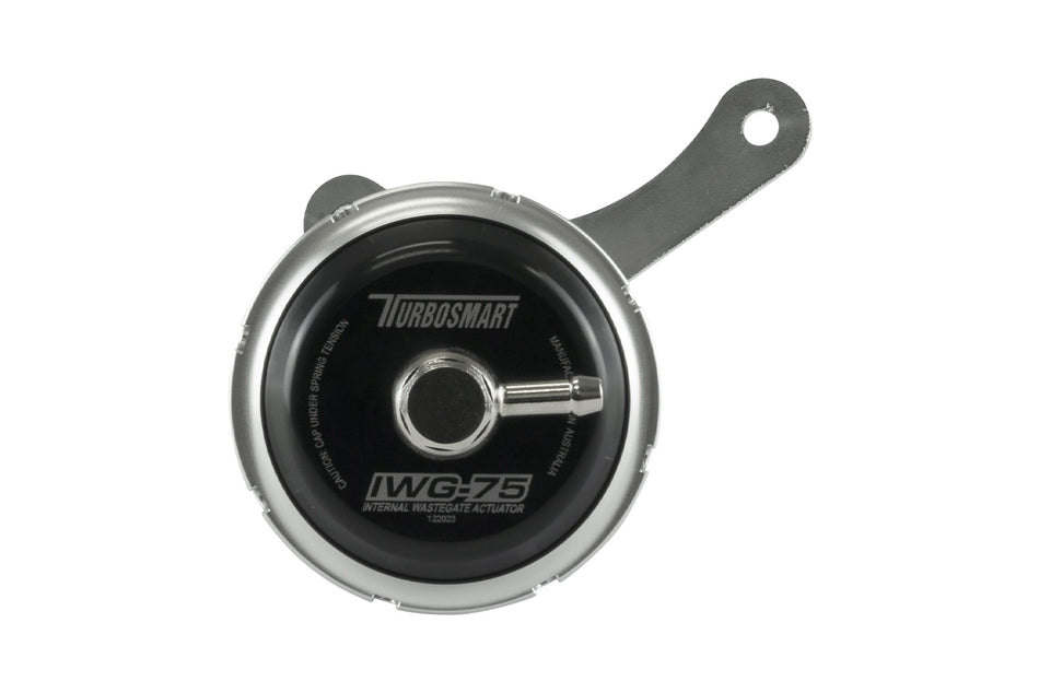 IWG75 Ford Focus ST / XR5 2.5L Turbo 7PSI