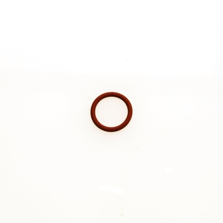 OLD WG Valve Guide O Ring